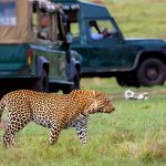 http://www.africapoint.com/national-parks/kenya/maasai-mara-national-reserve.html
