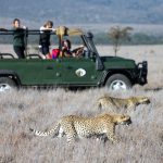 http://wild-wings-safaris.com/tours-and-safaris/kenyan-adventure-safari-7-days/