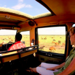 http://tammiematson.com/join-me-in-kenyas-famous-maasai-mara-in-july/