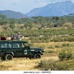 http://www.alamy.com/stock-photo/drive-jeep-kenya-look.html