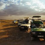 https://commons.wikimedia.org/wiki/File:Amboseli_Game_Drive_(Kenya,_Day_1).jpg
