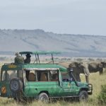 https://www.lionworldtravel.com/file/maasai-game-drive-kenyajpg