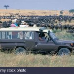 http://www.alamy.com/stock-photo/game-drive-kenya.html