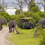 http://www.zicasso.com/luxury-vacation-kenya-tours/kenya-safari-vacation-game-drives-famous-national-parks