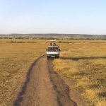 http://www.africanbudgetsafaris.com/budget-lodge-safaris/masai-mara-aberdare-nakuru-kenya-lodge-safari/