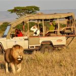 http://africageographic.com/blog/sustainable-safaris-kenya/