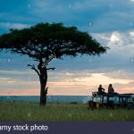 http://www.alamy.com/stock-photo-kenya-masai-mara-a-pause-for-a-sundowner-beneath-a-balanites-tree-30746412.html
