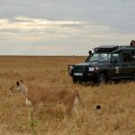 http://www.safari.co.za/Kenya_Safari_Packages-travel/3-day-masai-mara-breakaway.html