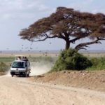 https://www.yampu.com/tours/kenyas-capital-serengeti/