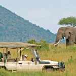 http://www.pandasafaris.com/safaris-itineraries/kenya-safaris/3-days-maasai-mara-game-reserve-safari/