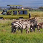 http://www.traveltoeastafrica.com/directory/listing/kenya-expresso-tours-and-safaris