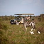 http://www.aardvarksafaris.co.uk/5-best-areas-safari-holidays-kenya/