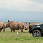 http://classicjourneysafrica.com/classic-journeys-kenya-wildlife-safari/