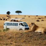 http://www.mytwendesafari.com/family-safari-masai-mara-coast-beach-holiday-kenya-2/