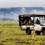 http://www.sunsafaris.com/tours-and-packages/kenya-tours-and-packages/kenya-classic-honeymoon.html