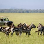 http://www.safari.co.za/Popular_Selections-travel/masai-mara-vacation-packages-kenya.html