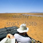 http://www.alamy.com/stock-photo/game-drive-kenya-van.html