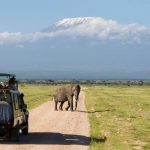 https://www.olx.co.ke/ad/best-nairobi-kenya-day-trip-one-day-amboseli-nakuru-game-drive-safari-IDTEMtG.html