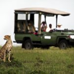 http://wild-wings-safaris.com/accommodation/mara-plains-camp/