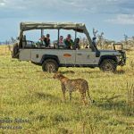 https://www.porini.com/kenya/safari-tours-kenya/recommended-safaris/maasai-mara-big-cat-safari/