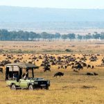 http://wild-wings-safaris.com/accommodation/mara-plains-camp/