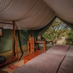 Each luxury tent has a spacious seating area