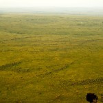 There is no way of telling how many or which animals you will see during the balloon ride as the animals move around the 580 mi2 of the Maasai Mara at will