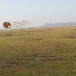 A balloon ride provides good opportunities to view animals in locations prohibited to vehicular movement