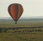 http://www.africanubuntusafaris.com.au/old-tours-and-safaris.html