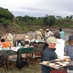 http://www.africanspicesafaris.com/wild_wind_masai_mara_balloon_safaris.html