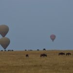 https://mywhirledview.com/2016/10/04/masai-mara/