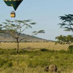 http://www.zicasso.com/luxury-vacation-kenya-tours/iconic-amboseli-and-masai-mara-safari