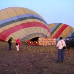 http://www.imperatortravel.com/2012/05/as-seen-on-animal-planet-a-safari-in-east-africa.html