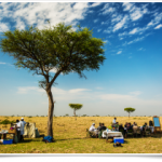 http://safariholidaykenya.com/tours/masai-mara-safari-deluxe