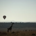 http://walkthewilderness.net/exciting-balloon-safari-in-masai-mara-reserve/