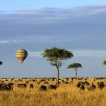 http://www.dailymail.co.uk/travel/article-2619878/I-hat-Kenya-Royal-milliner-Philip-Treacy-bowled-Africas-spectacular-vistas.html