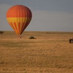 https://travel.jumia.com/blog/enjoy-the-wild-in-the-maasai-mara-4079