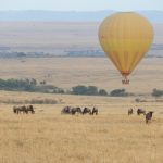 https://reshmastravelogue.wordpress.com/2015/10/23/up-up-and-away-hot-air-ballooning-in-the-mara/