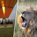 http://www.dailystar.co.uk/travel/adventure/523161/Best-things-to-do-in-Kenya-budget-safari-Masai-Mara-Samburu