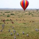 http://www.exploringtourism.com/kenya-sightseeing-and-activities/