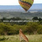 http://www.africasupercatsafaris.com/hot_air_balloon_ride.html