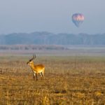 http://encompassafrica.com.au/free-hot-air-balloon-safari-in-zambia/