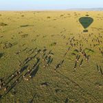 http://www.independenttraveler.com/slideshow/the-worlds-9-best-hot-air-balloon-rides