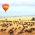 http://www.govisitkenya.com/cheap-kenya-safari.html