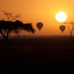 http://www.daigletours.com/tanzania-northern-circuit-safari/serengeti-national-park-safari-tours/