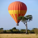 http://www.real-africasafaris.com/safari-tours/kenya-safaris/kenya-private-tours.html