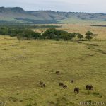 https://www.safaribookings.com/kenya/wet-season-photos