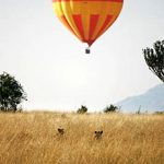 http://www.africanspicesafaris.com/salas_camp_masai_mara_kenya_safari_africa_safari_african_travel.html