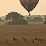 http://www.classicafrica.com/LuxuryAfricanSafaris/experiences/Balloon_Safaris