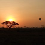 http://www.kiboguides.com/tours/serengeti-sunrise-balloon-safari/